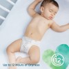 Pampers Pure Protection Diapers, Size 1, 2-5kg, 50 Count