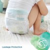 Pampers Pure Protection Diapers, Size 1, 2-5kg, 50 Count