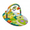 Infantino,Explore & Store Activity Gym (Turtles)