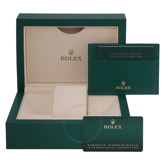 ROLEX Datejust 41 Chocolate Dial Steel and 18K Everose Gold  Watch